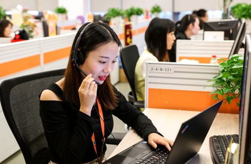 6類適合“老實人”的工作 在信息咨詢服務領域，找到人際關系簡單、工資高又能做長久的職業港灣